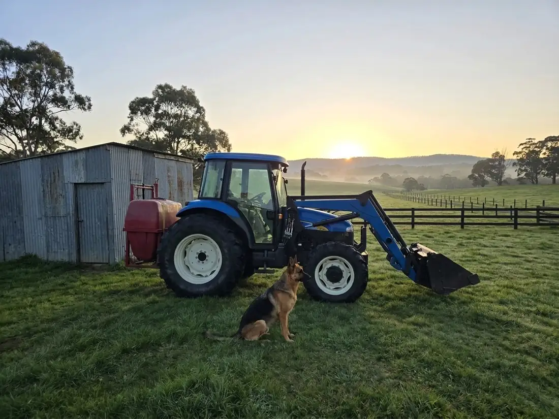 The Oak Ridge tractor parked by the shed at first light, the farm dog nearby.