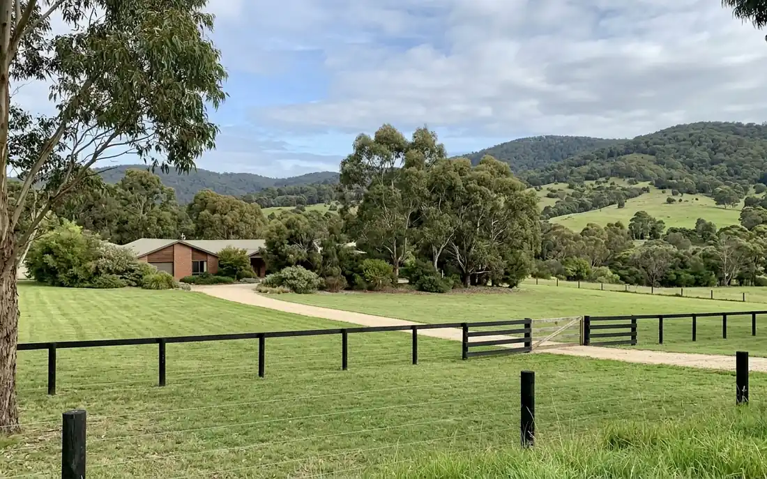 A well-kept lifestyle block: mown paddock, neat fence and gate, house roof among gum trees.