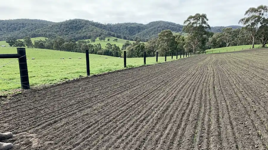 Fresh seed rows curving over renovated soil at dawn.